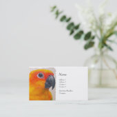 Visitenkarte - Sun Conure (Stehend Vorderseite)