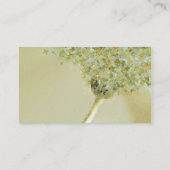 Visitenkarte TemplateButterfly (Rückseite)