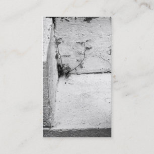 Visitenkarte "Unkraut auf Beton-Stufen"