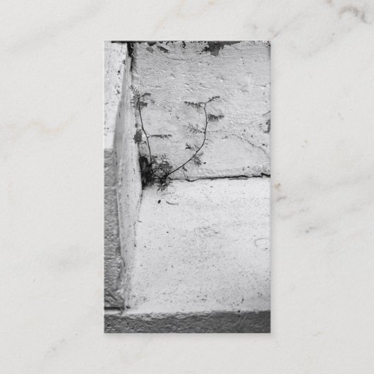 Visitenkarte "Unkraut auf Beton-Stufen" (Vorderseite)