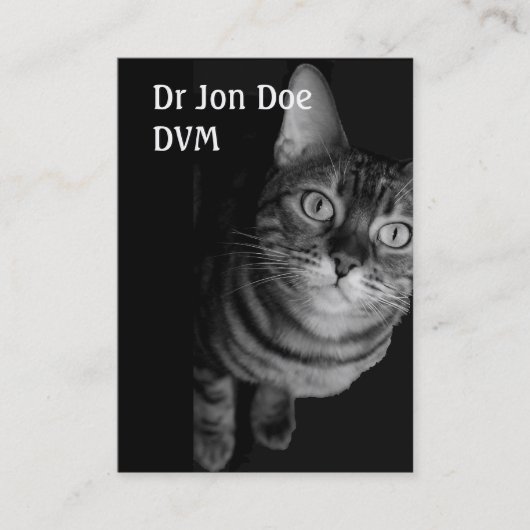 Visitenkarte V (Vorderseite)