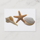 Visitenkarte von Muscheln (Rückseite)