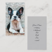 Visitenkarten der französischen Bulldogge Visitenkarte (Vorne/Hinten)