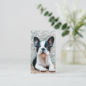 Visitenkarten der französischen Bulldogge Visitenkarte (Stehend Vorderseite)