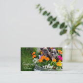 Visitenkarten der französischen Bulldogge Visitenkarte (Stehend Vorderseite)