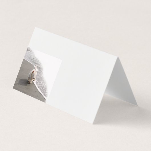 Visitenkarten für das Westie Foto (Vorderseite)