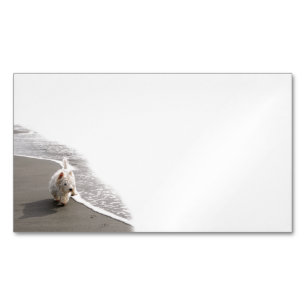 Visitenkarten für das Westie Foto Magnetische Visitenkarte