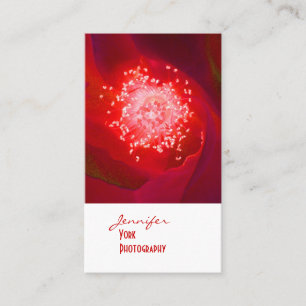 Visitenkarten für die Fotografie Red Rose Visitenkarte