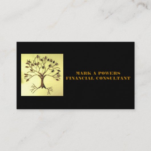 VISITENKARTEN FÜR FINANZberater Visitenkarte (Vorderseite)