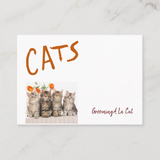 Visitenkarten für Geschäftskarten, immer häufiger Visitenkarte (Vorderseite)