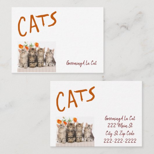 Visitenkarten für Geschäftskarten, immer häufiger Visitenkarte (Vorne/Hinten)