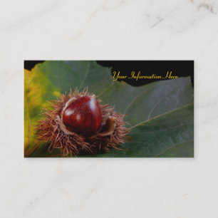 Visitenkarten für Herbstleaf und Nut Visitenkarte