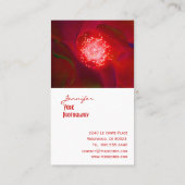 Visitenkarten für Rote Rose-Fotografie Visitenkarte (Rückseite)