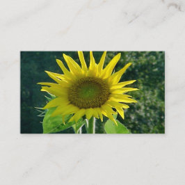 Visitenkarten für Sonnenblumen Visitenkarte