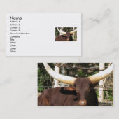 Visitenkarten TEXAS LONGHORN Visitenkarte (Vorne/Hinten)