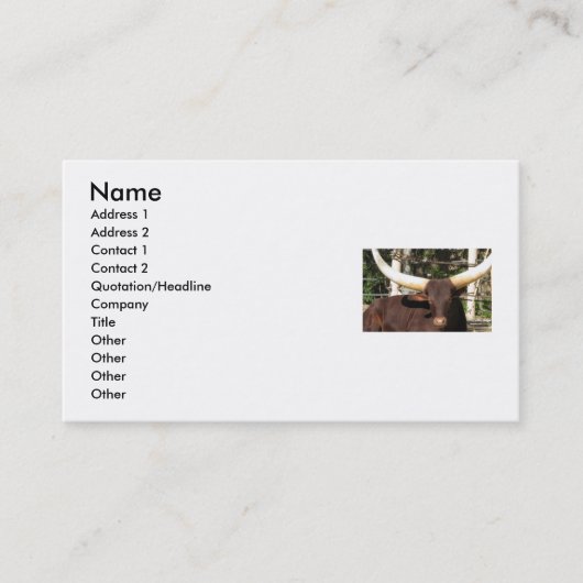 Visitenkarten TEXAS LONGHORN Visitenkarte (Vorderseite)