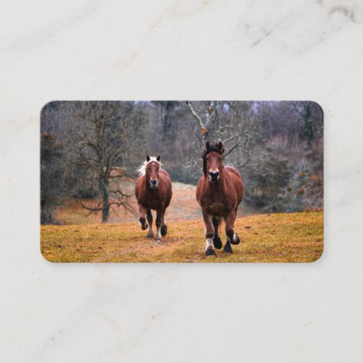 Visitenkarten Visitenkarte (Vorderseite)