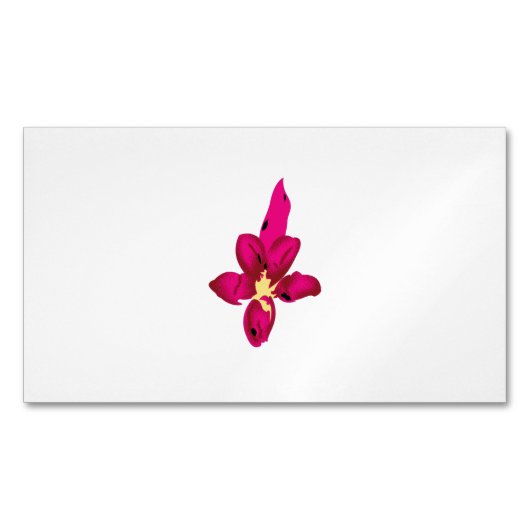 Visitenkartenmagazin Magnetische Visitenkarte (Vorderseite)