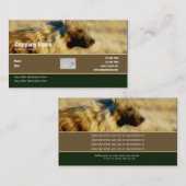 Visitenkarteprofil-Hyänensafari Visitenkarte (Vorne/Hinten)