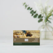 Visitenkarteprofil-Hyänensafari Visitenkarte (Stehend Vorderseite)