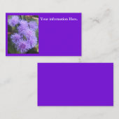 Viskate Visitenkarte (Vorne/Hinten)