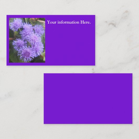 Viskate Visitenkarte (Vorne/Hinten)