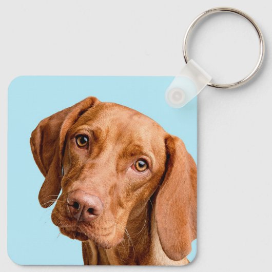 Visla Schlüsselanhänger (Rückseite)