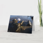 Vissende Fubby op een steen. Dankeskarte (Vorderseite)