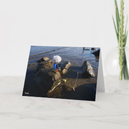 Vissende Fubby op een steen. Dankeskarte