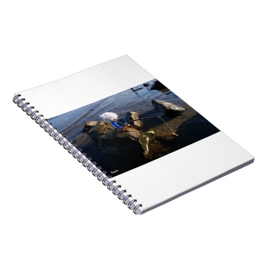 Vissende Fubby op een steen. Notizblock (Rechte Seite)