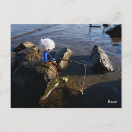Vissende Fubby op een steen. Postkarte