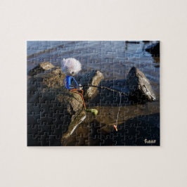 Vissende Fubby op een steen. Puzzle