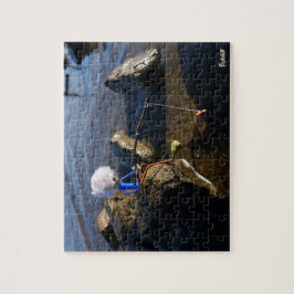 Vissende Fubby op een steen. Puzzle