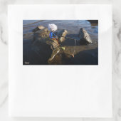 Vissende Fubby op een steen. Rechteckiger Aufkleber (Tasche)