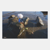 Vissende Fubby op een steen. Rechteckiger Aufkleber (Vorderseite)