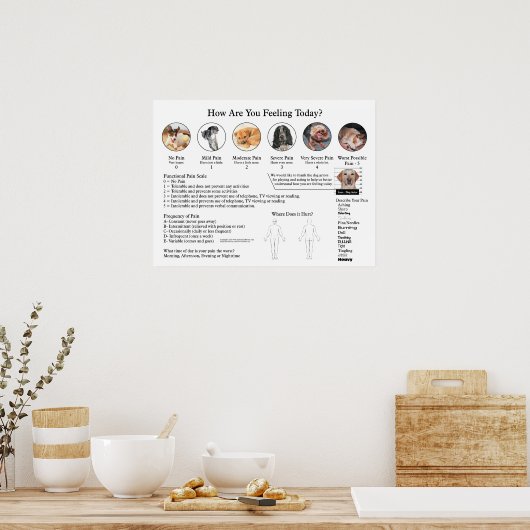 Visuelle Pain Scale Poster Wall Chart (Küche)