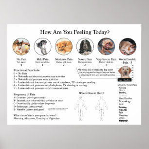 Visuelle Pain Scale Poster Wall Chart
