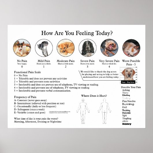 Visuelle Pain Scale Poster Wall Chart (Vorne)