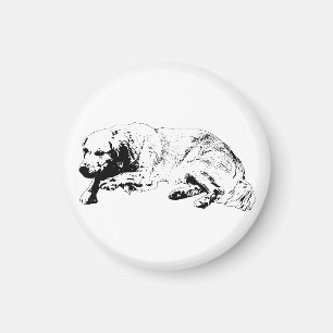 Visueller ruhiger Hund-Magnet bringt stetige Freud Magnet