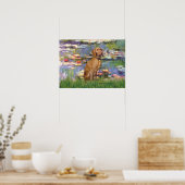 Viszla 2 - Vizsla Poster (Küche)