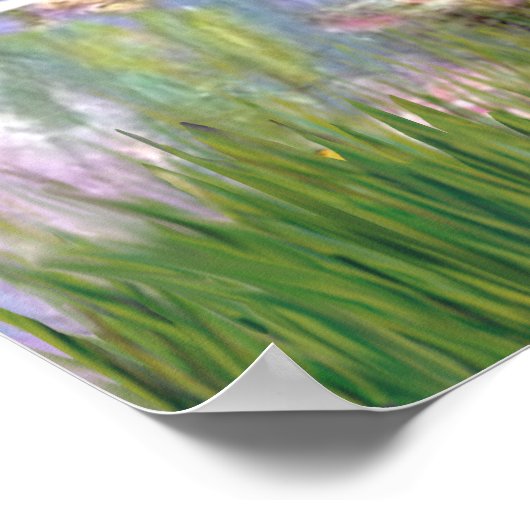 Viszla 2 - Vizsla Poster (Ecke)