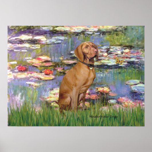 Viszla 2 - Vizsla Poster (Vorne)