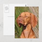 Viszla Postkarte (Vorne/Hinten)