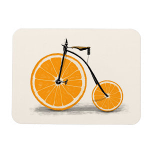 Vitamin Florent Bodart Magnet