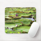 Vitoria Regis, Riesenwasserlililien im Amazonas Mousepad (Mit Mouse)