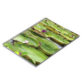 Vitoria Regis, Riesenwasserlililien im Amazonas Notizblock (Linke Seite)