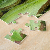 Vitoria Regis, Riesenwasserlililien im Amazonas Puzzle (Seite)