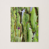 Vitoria Regis, Riesenwasserlililien im Amazonas Puzzle (Vertikal)