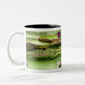 Vitoria Regis, Riesenwasserlililien im Amazonas Zweifarbige Tasse (Links)