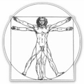 Vitruvian Man: Ebrace Zeitlose Weisheit Aufkleber (Vorderseite)